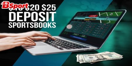 Đại Lý BSPORTS Cơ Hội Thu Nhập Hoa Hồng Hấp Dẫn 2 Thu nhập từ đại lý ít rủi ro
